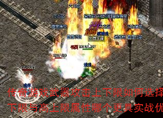 ������Ϸ�����������������ѡ�񣿸�����������������ĸ�����ʵս���ƣ�