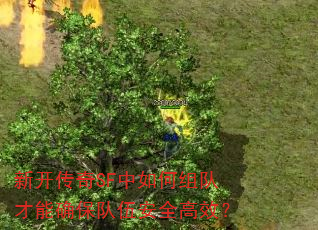 新开传奇SF中如何组队才能确保队伍安全高效? 新开传奇SF中如何组队才能确保队伍安全高效?