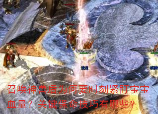 �ٻ����޺�Ϊ��Ҫʱ�̽�������Ѫ�����ؼ�������������Щ��