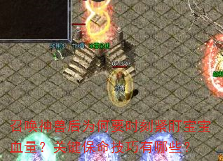 �ٻ����޺�Ϊ��Ҫʱ�̽�������Ѫ�����ؼ�������������Щ��