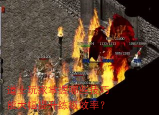 道士玩家掌握哪些技巧能大幅提升练级效率? 道士玩家掌握哪些技巧能大幅提升练级效率?