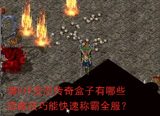 ��VIP��̬�����������Щ���ؼ����ܿ��ٳư�ȫ����