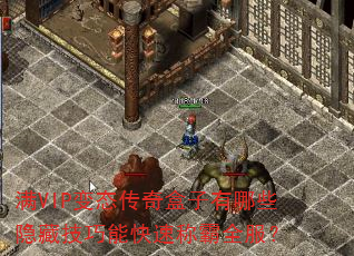 ��VIP��̬�����������Щ���ؼ����ܿ��ٳư�ȫ����