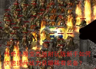 传奇私服变态版耐玩版新手如何快速提升战力获取稀有装备? 传奇私服变态版耐玩版新手如何快速提升战力获取稀有装备?