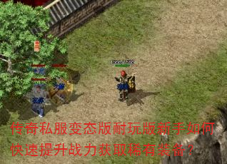 传奇私服变态版耐玩版新手如何快速提升战力获取稀有装备? 传奇私服变态版耐玩版新手如何快速提升战力获取稀有装备?