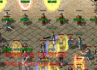 传奇游戏新手如何快速升级并获取高级装备? 传奇游戏新手如何快速升级并获取高级装备?