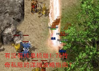 ��û�д�������1.76����˽������ϸ����ָ�ϣ�