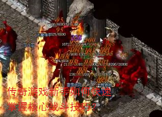 ������Ϸ������ο������պ���ս�����ɣ�