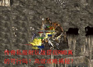 ����˽�����������RMB��Ŀ����𣿸�Ч���Խ��أ�