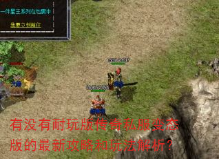 有没有耐玩版传奇私服变态版的最新攻略和玩法解析? 有没有耐玩版传奇私服变态版的最新攻略和玩法解析?