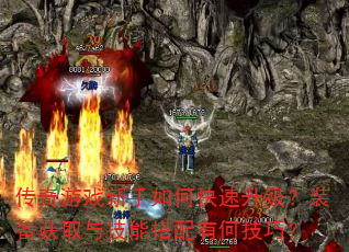 ������Ϸ������ο���������װ����ȡ�뼼�ܴ����кμ��ɣ�