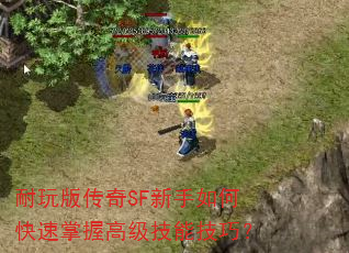 耐玩版传奇SF新手如何快速掌握高级技能技巧? 耐玩版传奇SF新手如何快速掌握高级技能技巧?