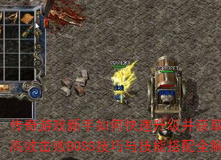 ������Ϸ������ο�����������ȡ����װ������Ч����BOSS�����뼼�ܴ���ȫ������