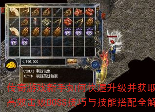 ������Ϸ������ο�����������ȡ����װ������Ч����BOSS�����뼼�ܴ���ȫ������