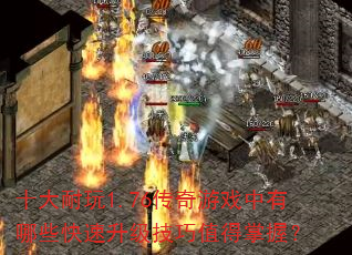 十大耐玩1.76传奇游戏中有哪些快速升级技巧值得掌握? 十大耐玩1.76传奇游戏中有哪些快速升级技巧值得掌握?