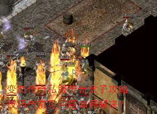 ��̬����˽��������ӹ��Լ����볣��������ν����