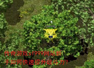 传奇游戏sf999网站新手如何快速提升战斗力? 传奇游戏sf999网站新手如何快速提升战斗力?