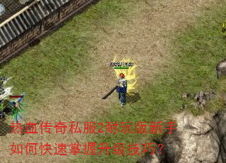 热血传奇私服2耐玩版新手如何快速掌握升级技巧? 热血传奇私服2耐玩版新手如何快速掌握升级技巧?