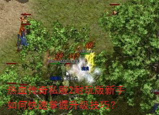热血传奇私服2耐玩版新手如何快速掌握升级技巧? 热血传奇私服2耐玩版新手如何快速掌握升级技巧?