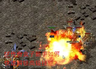 SF�������������ο��ٽ����߼����ܣ�