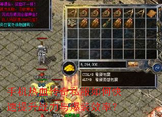 �ֻ���Ѫ����˽����ο�������ս���뱬װЧ�ʣ�