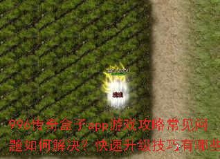 996传奇盒子app游戏攻略常见问题如何解决?快速升级技巧有哪些? 996传奇盒子app游戏攻略常见问题如何解决?快速升级技巧有哪些?