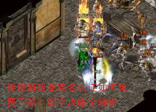 ������Ϸ��ʵ����֤���������أ����ֹ���ȫ����