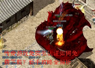 ������Ϸ��ʵ����֤���������أ����ֹ���ȫ����