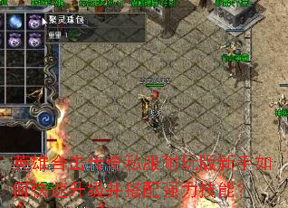 Ӣ�ۺϻ�����˽�������������ο�������������ǿ�����ܣ�