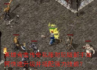 Ӣ�ۺϻ�����˽�������������ο�������������ǿ�����ܣ�