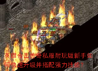 Ӣ�ۺϻ�����˽�������������ο�������������ǿ�����ܣ�