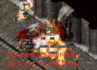 公益服传奇盒子app中如何快速提升战力获取稀有装备? 公益服传奇盒子app中如何快速提升战力获取稀有装备?