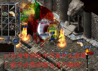 sf在传奇游戏中代表什么意思?新手必看攻略与技巧解析? sf在传奇游戏中代表什么意思?新手必看攻略与技巧解析?