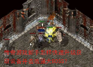 ������Ϸ������������������ȡװ��������ǿ��BOSS��