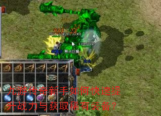 ���δ���������ο�������ս�����ȡϡ��װ����