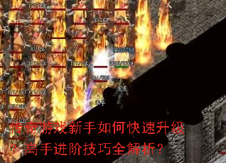 ������Ϸ������ο������������ֽ��׼���ȫ������