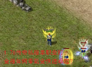 1.76����˽����ְҵ���������봽��������