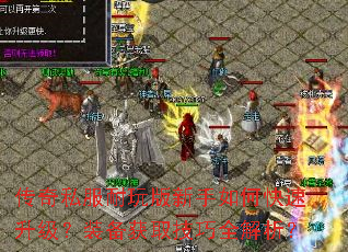 传奇私服耐玩版新手如何快速升级?装备获取技巧全解析? 传奇私服耐玩版新手如何快速升级?装备获取技巧全解析?