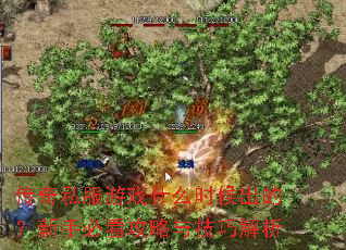 ����˽����Ϸʲôʱ����ģ����ֱؿ������뼼�ɽ���