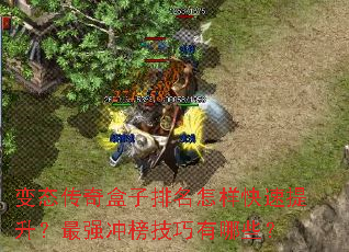 ��̬���������������������������ǿ���������Щ��