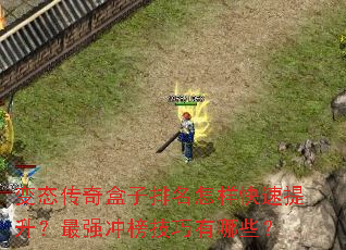 ��̬���������������������������ǿ���������Щ��