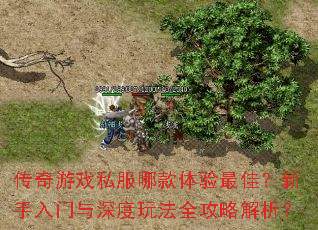 传奇游戏私服哪款体验最佳?新手入门与深度玩法全攻略解析? 传奇游戏私服哪款体验最佳?新手入门与深度玩法全攻略解析?