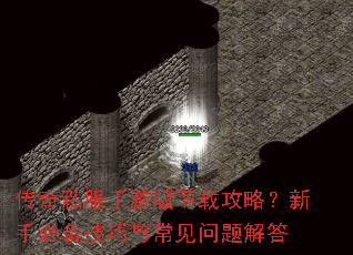 传奇私服手游版下载攻略?新手必备技巧与常见问题解答 传奇私服手游版下载攻略?新手必备技巧与常见问题解答