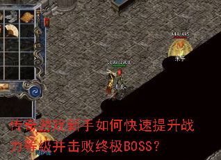 ������Ϸ������ο�������ս���ȼ��������ռ�BOSS��