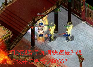 ������Ϸ������ο�������ս���ȼ��������ռ�BOSS��