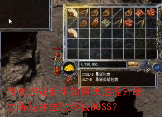 ������Ϸ������ο�������ս���ȼ��������ռ�BOSS��