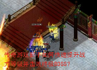 ������Ϸ������ο�������ս���ȼ��������ռ�BOSS��