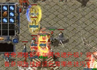 传奇游戏新手如何快速升级?装备获取与技能提升有哪些技巧? 传奇游戏新手如何快速升级?装备获取与技能提升有哪些技巧?