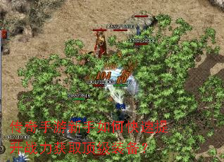 传奇手游新手如何快速提升战力获取顶级装备? 传奇手游新手如何快速提升战力获取顶级装备?