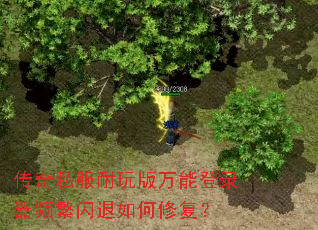 传奇私服耐玩版万能登录器频繁闪退如何修复? 传奇私服耐玩版万能登录器频繁闪退如何修复?
